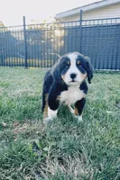 processed/7b4b05b3-1231-466d-b963-cf9d158b2268/facility/6b62c53a-65c5-4246-8bb3-2521b986de0d