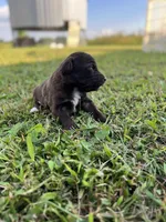 processed/7b4b05b3-1231-466d-b963-cf9d158b2268/facility/ccccbfc0-cf90-43d0-a4f0-da6092d31fda