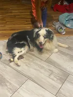 processed/7b4b05b3-1231-466d-b963-cf9d158b2268/facility/f09876c7-5be9-4314-b157-233be817427f