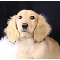 processed/7b5626a1-c8ba-4374-8349-5e0c0b9d4ff4/facility/113c7f06-e290-48b3-96e4-c7f7b7baf90c