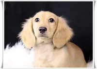 processed/7b5626a1-c8ba-4374-8349-5e0c0b9d4ff4/facility/113c7f06-e290-48b3-96e4-c7f7b7baf90c