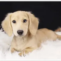 processed/7b5626a1-c8ba-4374-8349-5e0c0b9d4ff4/facility/4bc8b8a2-1fa3-4f41-ab02-b799baebcf68