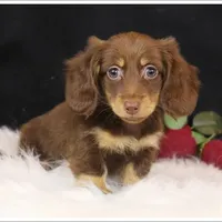 processed/7b5626a1-c8ba-4374-8349-5e0c0b9d4ff4/facility/5aa150f5-7d63-4fd6-aa06-1f55be24e079