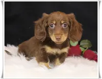 processed/7b5626a1-c8ba-4374-8349-5e0c0b9d4ff4/facility/5aa150f5-7d63-4fd6-aa06-1f55be24e079