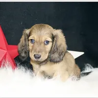 processed/7b5626a1-c8ba-4374-8349-5e0c0b9d4ff4/facility/6a146558-c2b4-465e-a39c-69815bafb602