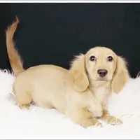 processed/7b5626a1-c8ba-4374-8349-5e0c0b9d4ff4/facility/78c7a659-2195-4093-ba76-20ab2770b9ee