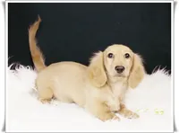 processed/7b5626a1-c8ba-4374-8349-5e0c0b9d4ff4/facility/78c7a659-2195-4093-ba76-20ab2770b9ee