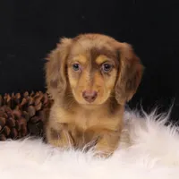 processed/7b5626a1-c8ba-4374-8349-5e0c0b9d4ff4/facility/9ff01ac6-014e-4e4d-8cb7-9073ee8a71b5