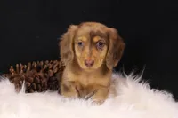 processed/7b5626a1-c8ba-4374-8349-5e0c0b9d4ff4/facility/9ff01ac6-014e-4e4d-8cb7-9073ee8a71b5