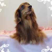 processed/7b5626a1-c8ba-4374-8349-5e0c0b9d4ff4/facility/b2b8b45d-b093-4e12-8d53-794b09ca4681