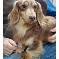 processed/7b5626a1-c8ba-4374-8349-5e0c0b9d4ff4/facility/c59c0c77-83c6-401f-ac8c-4fce9694d2a6