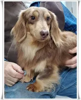 processed/7b5626a1-c8ba-4374-8349-5e0c0b9d4ff4/facility/c59c0c77-83c6-401f-ac8c-4fce9694d2a6