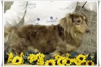 processed/7b5626a1-c8ba-4374-8349-5e0c0b9d4ff4/facility/dbde3b65-d189-4d5b-a859-099371b7bb7a