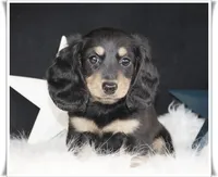 processed/7b5626a1-c8ba-4374-8349-5e0c0b9d4ff4/facility/ef88743a-3974-4f81-b842-4169e9a224c5