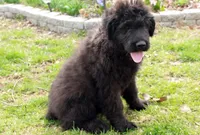 processed/7b5626a1-c8ba-4374-8349-5e0c0b9d4ff4/listing/8bee98da-35c0-4906-9a12-2aa8b5696357/78245a01-c6c2-453e-a5d9-ae109308b600