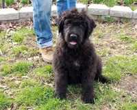 processed/7b5626a1-c8ba-4374-8349-5e0c0b9d4ff4/listing/8bee98da-35c0-4906-9a12-2aa8b5696357/948ef6fb-f30c-44a3-9e5c-0b34cfa60689