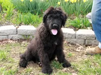 processed/7b5626a1-c8ba-4374-8349-5e0c0b9d4ff4/listing/8bee98da-35c0-4906-9a12-2aa8b5696357/aff6960c-f6c3-477d-bd85-9eecfe8bbca3