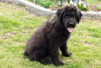 processed/7b5626a1-c8ba-4374-8349-5e0c0b9d4ff4/listing/8bee98da-35c0-4906-9a12-2aa8b5696357/b079f6dd-1ddf-493c-8d83-ee0052f194df