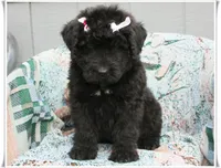 processed/7b5626a1-c8ba-4374-8349-5e0c0b9d4ff4/listing/8bee98da-35c0-4906-9a12-2aa8b5696357/dd651457-c368-495a-94c7-1dc83ec8b7b0