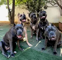 Facility photo