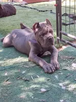 processed/7b58ed48-34c3-4541-9fa0-da2cdb1ba7fc/listing/f3301274-8669-47bd-896a-e3c3bd3bb551/2afb2aac-c891-46f2-8fcc-91a037081a13