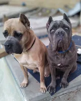 processed/7b58ed48-34c3-4541-9fa0-da2cdb1ba7fc/listing/f3301274-8669-47bd-896a-e3c3bd3bb551/8cbb2593-0b06-471c-9ada-ce8361849636