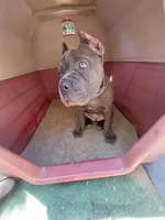 processed/7b58ed48-34c3-4541-9fa0-da2cdb1ba7fc/listing/f3301274-8669-47bd-896a-e3c3bd3bb551/bc280e5b-fd3e-4061-be7d-c26a56f8567d