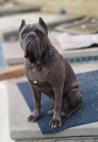 processed/7b58ed48-34c3-4541-9fa0-da2cdb1ba7fc/listing/f3301274-8669-47bd-896a-e3c3bd3bb551/c71b6f43-213f-42db-afe4-72d1983d4e26