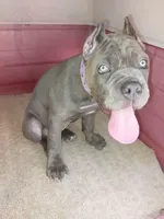 processed/7b58ed48-34c3-4541-9fa0-da2cdb1ba7fc/listing/f3301274-8669-47bd-896a-e3c3bd3bb551/d9af3fb4-97f6-41eb-b891-f1b98d756995