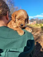 processed/7b5b190d-83c9-4617-867b-f18a5e8e90ab/listing/5a5270c5-12cf-42af-87f2-20f533f7047f/32ab71ba-d941-4b12-b7f9-35c31b1e3fb5