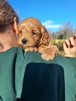 processed/7b5b190d-83c9-4617-867b-f18a5e8e90ab/listing/5a5270c5-12cf-42af-87f2-20f533f7047f/c7c15d3c-fc8e-4a50-8f7b-a6c29a1b2118