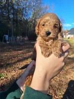 processed/7b5b190d-83c9-4617-867b-f18a5e8e90ab/listing/5a5270c5-12cf-42af-87f2-20f533f7047f/d99162aa-ae62-4e39-a172-75fa69491034