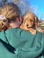 processed/7b5b190d-83c9-4617-867b-f18a5e8e90ab/listing/5a5270c5-12cf-42af-87f2-20f533f7047f/daf6d2ba-fefd-41fc-8e7a-e492cb648f05