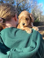 processed/7b5b190d-83c9-4617-867b-f18a5e8e90ab/listing/5a5270c5-12cf-42af-87f2-20f533f7047f/e28a77fc-ebdd-492e-abd6-550dbbeed982