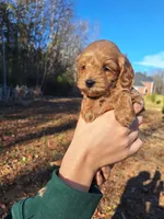 processed/7b5b190d-83c9-4617-867b-f18a5e8e90ab/listing/5a5270c5-12cf-42af-87f2-20f533f7047f/f641e136-7f7c-4bea-9378-3c8d59afebff