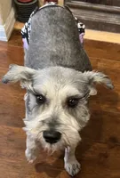 processed/7b5b62d8-93bc-493f-8dbd-788165a1248d/facility/1c41b0b7-0ee4-4164-8b3a-e8563e47c17b