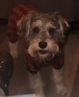 processed/7b5b62d8-93bc-493f-8dbd-788165a1248d/facility/4ea7aae4-b7bf-41fd-bedf-51f633cce5d1