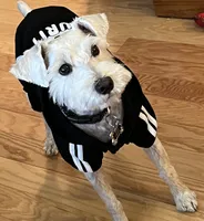 processed/7b5b62d8-93bc-493f-8dbd-788165a1248d/facility/a8345dff-727f-489a-8758-0309962f9b74