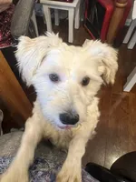 processed/7b5b62d8-93bc-493f-8dbd-788165a1248d/facility/fe71e88f-36dc-465a-92eb-9659ffbcf967