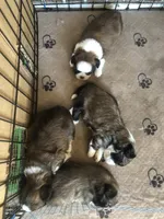 processed/7b5ea8a3-e02c-486d-a97a-47f0adad0c55/facility/adfbdc01-ce78-4593-ae03-7415a3d5e178