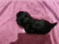 processed/7b5ea8a3-e02c-486d-a97a-47f0adad0c55/listing/335bc4d3-1f46-4760-b830-ca6bdcdae516/266577ef-884b-4632-bcc0-a6de5e031de9