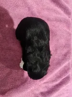 processed/7b5ea8a3-e02c-486d-a97a-47f0adad0c55/listing/335bc4d3-1f46-4760-b830-ca6bdcdae516/877172ec-5ca7-4660-8262-3663c5bdd58a