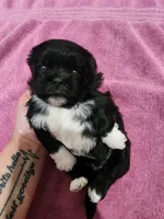 processed/7b5ea8a3-e02c-486d-a97a-47f0adad0c55/listing/335bc4d3-1f46-4760-b830-ca6bdcdae516/c7ebbbff-cc89-427f-91a8-a7ba1b87f407