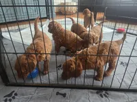 processed/7b632462-cc4e-45da-b323-ff9ba4d96257/facility/1e4ac855-78e9-4055-b218-82ea00d9a507