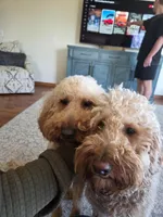 processed/7b632462-cc4e-45da-b323-ff9ba4d96257/facility/702b15d9-4bce-4ffc-b9de-c1f08f8dc296