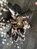 processed/7b6b03e7-7147-47c4-9751-aecfd1fcfc3c/listing/8ac0f76d-3d93-4f87-9b58-e9d40b76e9f9/08c6d23e-2a89-4c03-8ffb-025cffa5b6f7