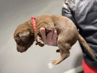 processed/7b6b03e7-7147-47c4-9751-aecfd1fcfc3c/listing/8ac0f76d-3d93-4f87-9b58-e9d40b76e9f9/0a3656e4-0bdb-4741-a731-5d3c4e28d63d