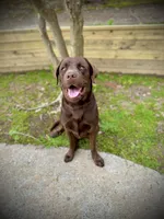 processed/7b6b03e7-7147-47c4-9751-aecfd1fcfc3c/listing/8ac0f76d-3d93-4f87-9b58-e9d40b76e9f9/0ba09654-5e4f-4f33-b8d7-e1ec038d62bf