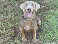 processed/7b6b03e7-7147-47c4-9751-aecfd1fcfc3c/listing/8ac0f76d-3d93-4f87-9b58-e9d40b76e9f9/1f5dde72-b830-4da0-a3e1-0226654aaa38