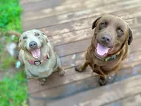 processed/7b6b03e7-7147-47c4-9751-aecfd1fcfc3c/listing/8ac0f76d-3d93-4f87-9b58-e9d40b76e9f9/1fd35c4b-7166-4c4b-84ae-ed6fcd5cf41b